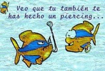 humor humor